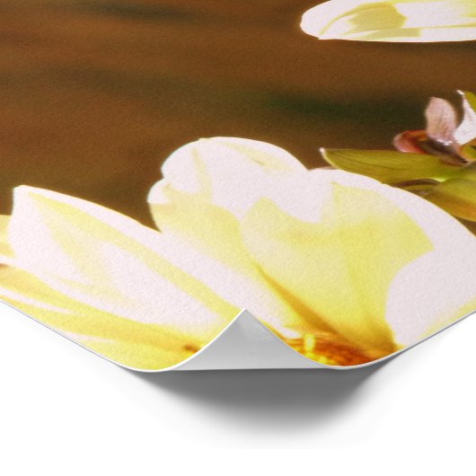 Autumn Butterfly Poster (Ecke)