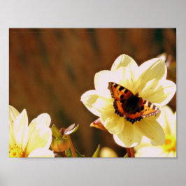 Autumn Butterfly Poster