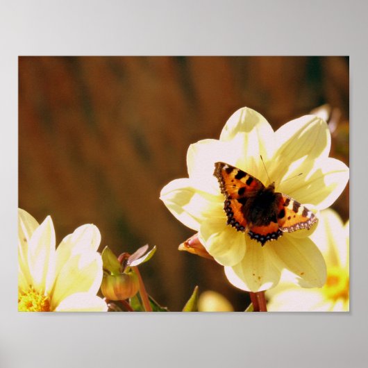 Autumn Butterfly Poster (Vorne)