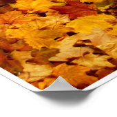 Autumn by Johannes Stötter Poster (Ecke)