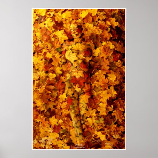 Autumn by Johannes Stötter Poster (Vorne)