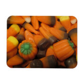 Autumn Candy Corn Flexible Magnet (Horizontal)