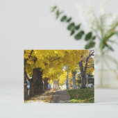 Autumn Canopy Postcard Postkarte (Stehend Vorderseite)
