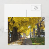 Autumn Canopy Postcard Postkarte (Vorne/Hinten)