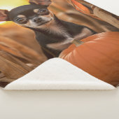 Autumn Chihuahua Sherpadecke (3/4)