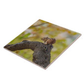 Autumn Chipmunk Fliese (Seite)