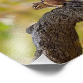 Autumn Chipmunk Fotodruck (Ecke)