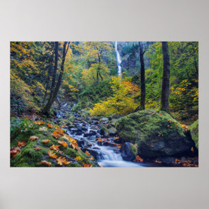 Autumn Color Along Starvation Creek Falls 2 Poster