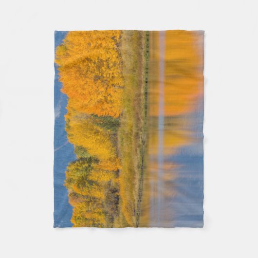Autumn Colored Aspen Trees Fleecedecke (Vorderseite)