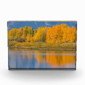 Autumn Colored Aspen Trees Fotoblock (Vorderseite)