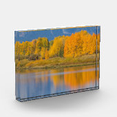 Autumn Colored Aspen Trees Fotoblock (Links)