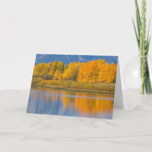 Autumn Colored Aspen Trees Karte
