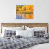 Autumn Colored Aspen Trees Leinwanddruck (Insitu (Schlafzimmer))