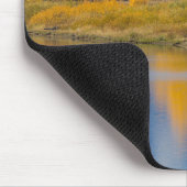 Autumn Colored Aspen Trees Mousepad (Ecke)