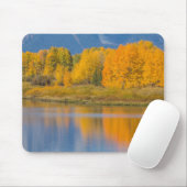 Autumn Colored Aspen Trees Mousepad (Mit Mouse)