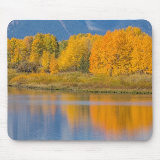 Autumn Colored Aspen Trees Mousepad (Vorne)
