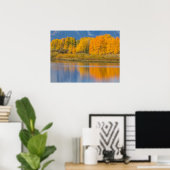 Autumn Colored Aspen Trees Poster (Heimbüro)