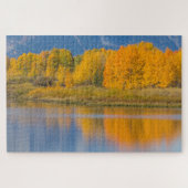 Autumn Colored Aspen Trees Puzzle (Horizontal)