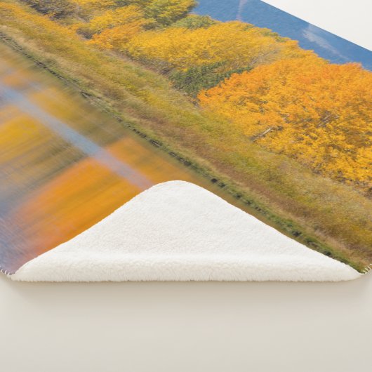 Autumn Colored Aspen Trees Sherpadecke (3/4)