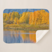 Autumn Colored Aspen Trees Sherpadecke (Vorderseite (Horizontal))