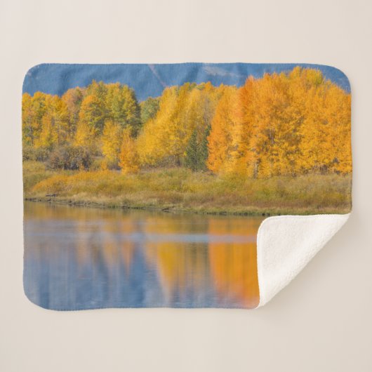 Autumn Colored Aspen Trees Sherpadecke (Vorderseite (Horizontal))