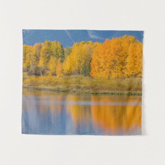 Autumn Colored Aspen Trees Wandteppich (Vorderseite (Horizontal))