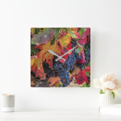 Autumn Colored Wine Grapes and Vineyard Quadratische Wanduhr (Zuhause)