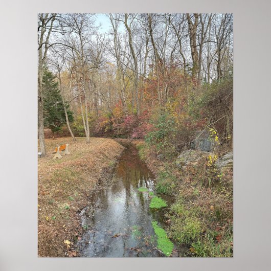 Autumn Creek Foto Poster (Vorne)