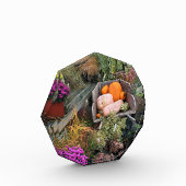 Autumn Decor Fotoblock (Links)