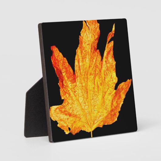 Autumn Decor Fotoplatte (Vorderseite)