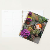 Autumn Decor Planer (Anzeige)
