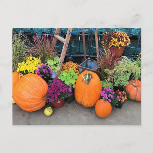 Autumn Decor Postkarte (Vorderseite)
