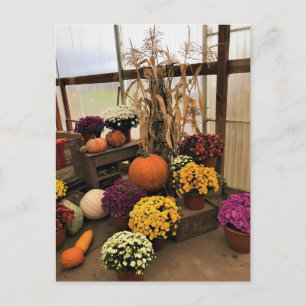Autumn Decor Postkarte