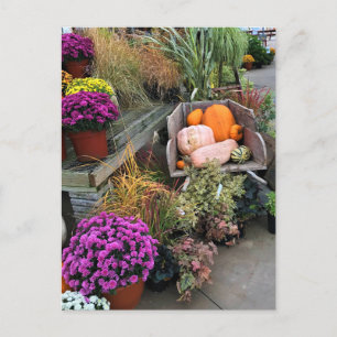 Autumn Decor Postkarte
