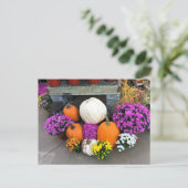 Autumn Decor Postkarte (Stehend Vorderseite)