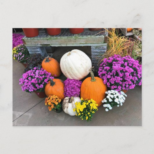 Autumn Decor Postkarte (Vorderseite)