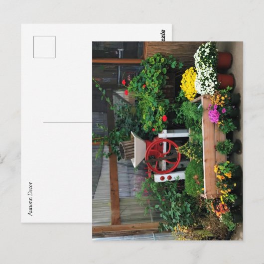 Autumn Decor Postkarte (Vorne/Hinten)