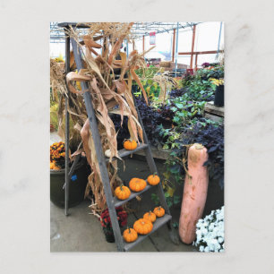 Autumn Decor Postkarte