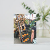 Autumn Decor Postkarte (Stehend Vorderseite)