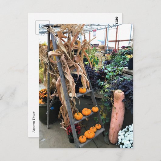 Autumn Decor Postkarte (Vorne/Hinten)