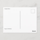 Autumn Decor Postkarte (Rückseite)