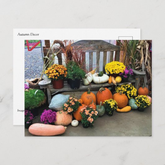 Autumn Decor Postkarte (Vorne/Hinten)