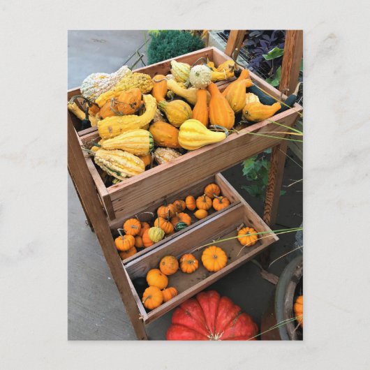 Autumn Decor Postkarte (Vorderseite)