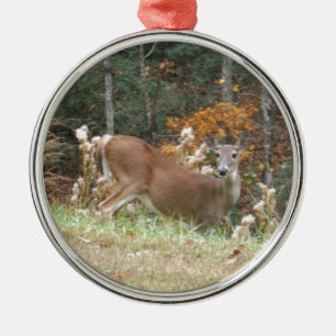 Autumn Deer in Lake Arrowhead GA Ornament Aus Metall