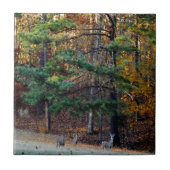 Autumn Deer in the Distanz Fliese (Vorderseite)