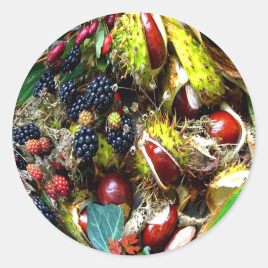 AUTUMN DELIGHTS ~ Umschlagsiegeler/Aufkleber Runder Aufkleber (Vorderseite)