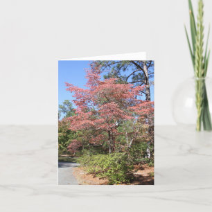 AUTUMN DOGWOOD KARTE
