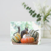 Autumn Eichirrel Postkarte (Stehend Vorderseite)