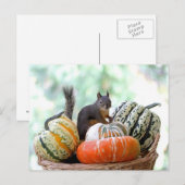 Autumn Eichirrel Postkarte (Vorne/Hinten)