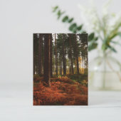 Autumn Ferns Postkarte (Stehend Vorderseite)